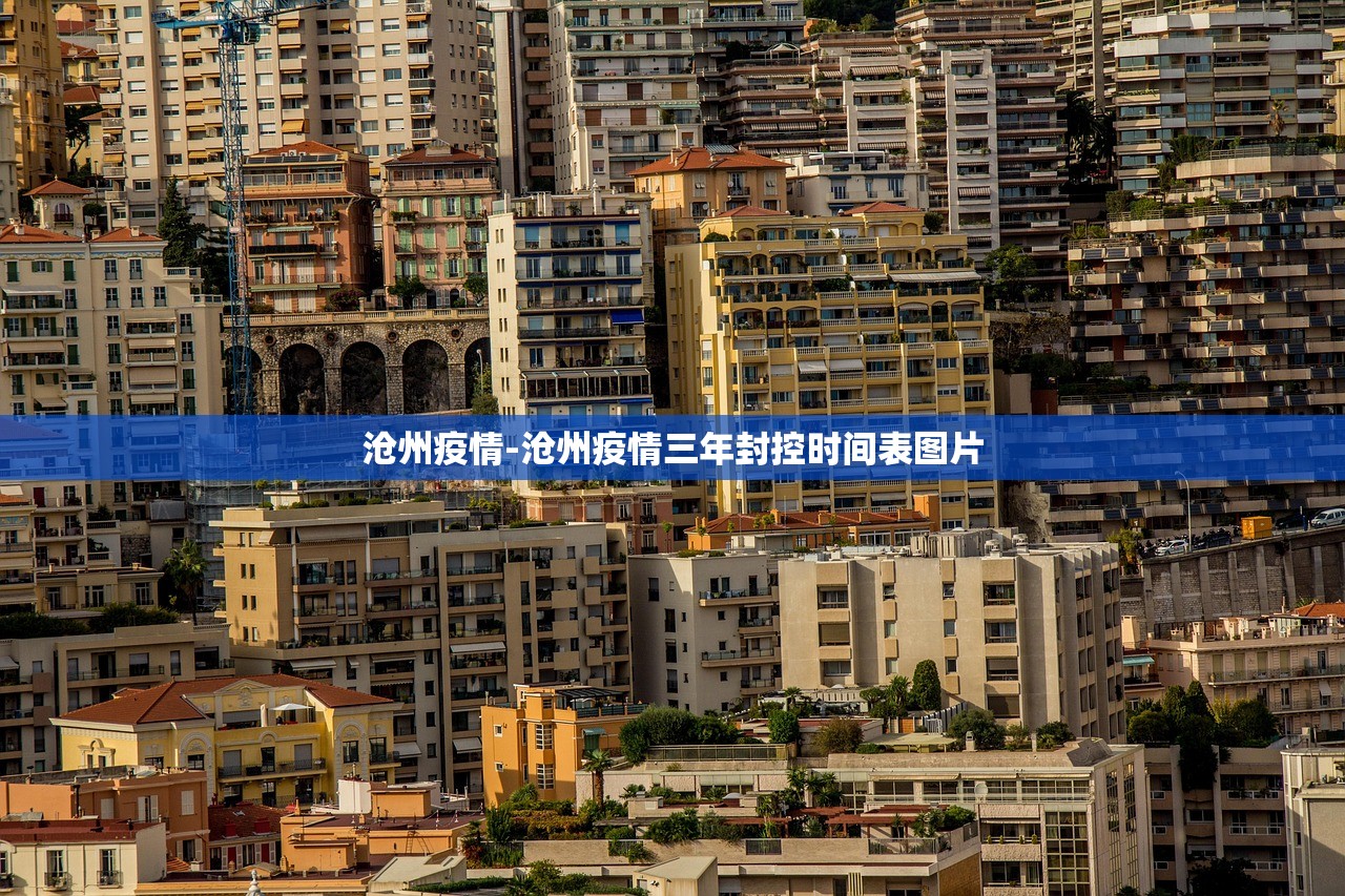 沧州疫情-沧州疫情三年封控时间表图片