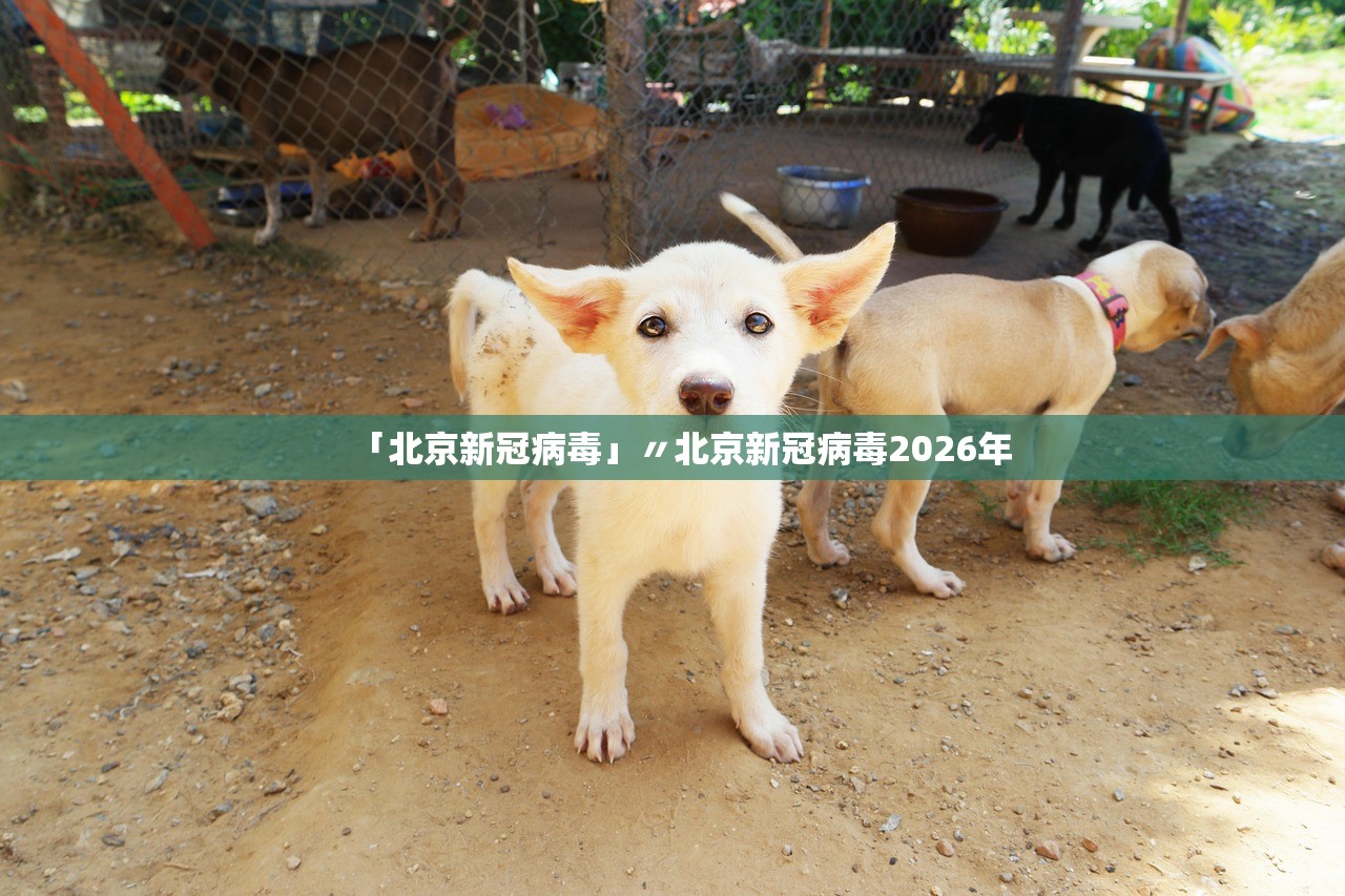 「北京新冠病毒」〃北京新冠病毒2026年