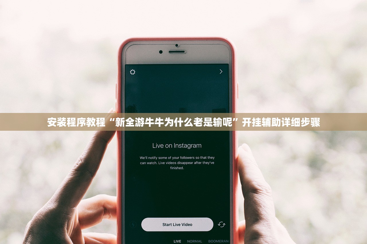 安装程序教程“新全游牛牛为什么老是输呢”开挂辅助详细步骤