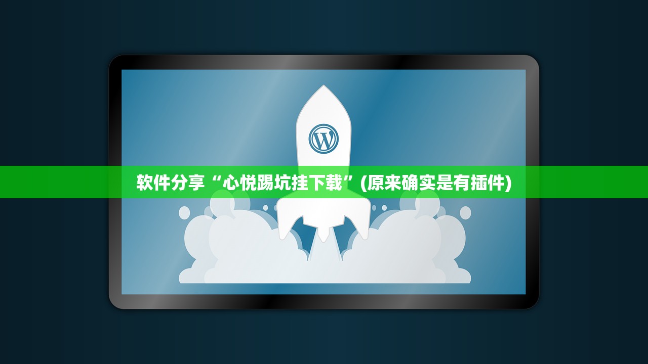 软件分享“心悦踢坑挂下载”(原来确实是有插件)