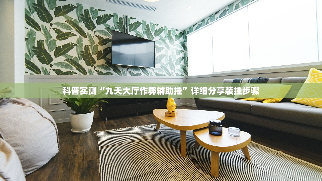 科普实测“九天大厅作弊辅助挂”详细分享装挂步骤