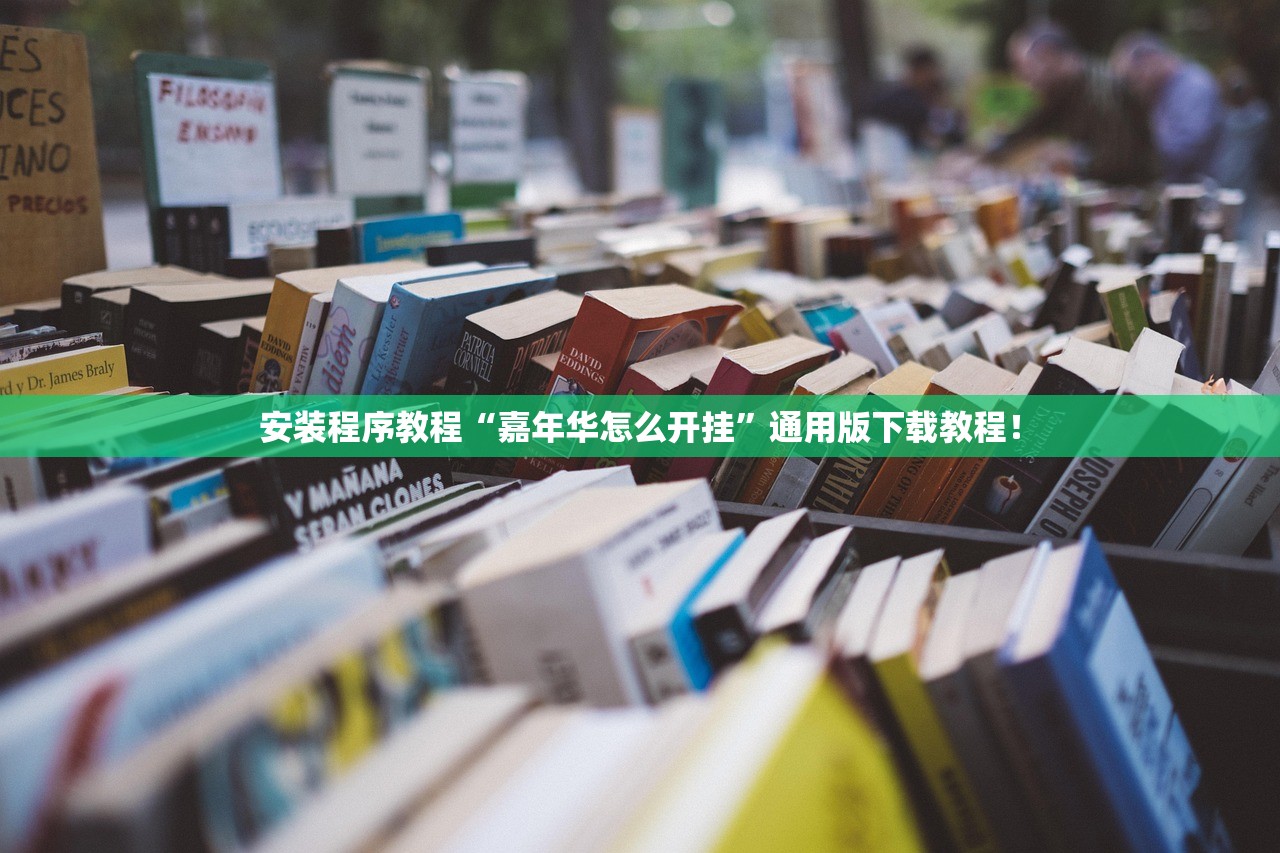 安装程序教程“嘉年华怎么开挂”通用版下载教程！
