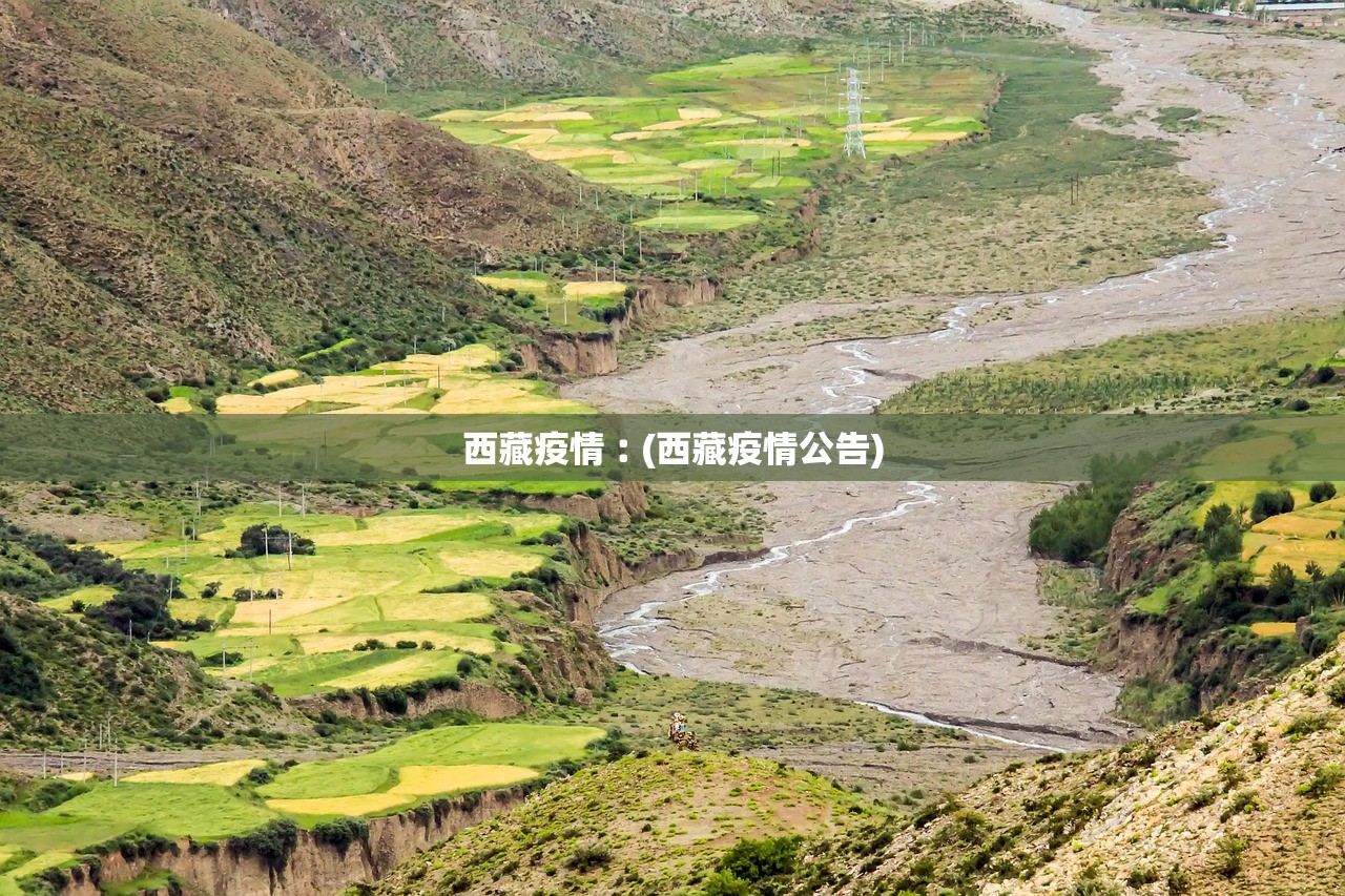 西藏疫情︰(西藏疫情公告) 西藏疫情︰(西藏疫情公告)