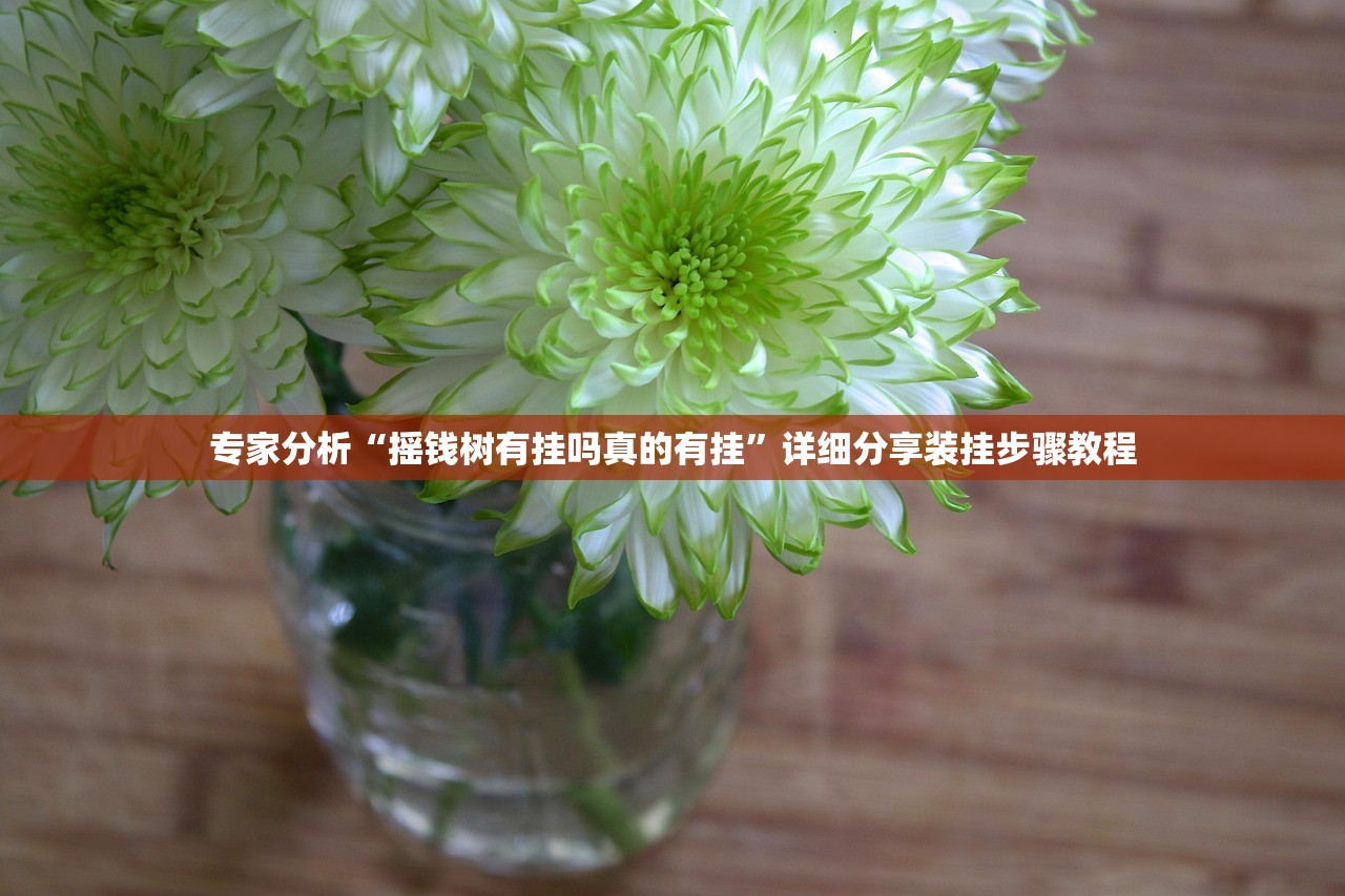 专家分析“摇钱树有挂吗真的有挂”详细分享装挂步骤教程