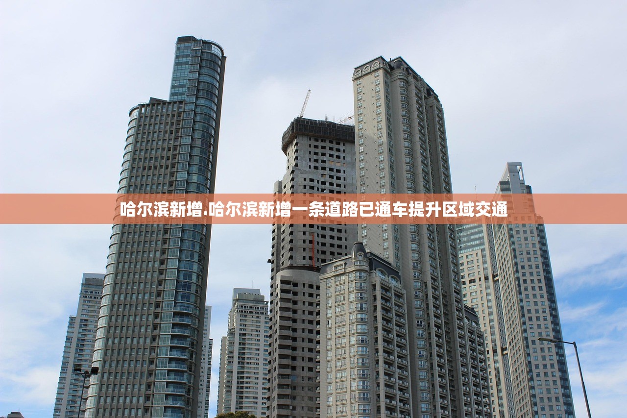 哈尔滨新增.哈尔滨新增一条道路已通车提升区域交通