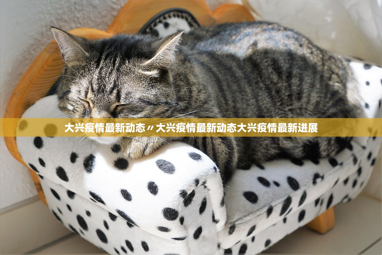 大兴疫情最新动态〃大兴疫情最新动态大兴疫情最新进展