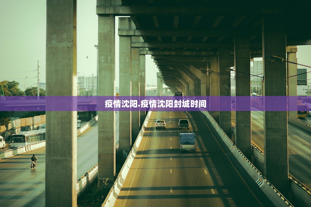 疫情沈阳.疫情沈阳封城时间