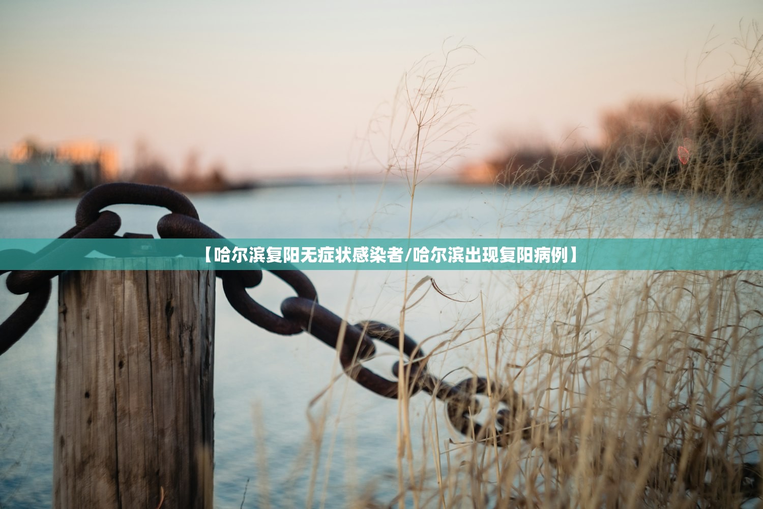 【哈尔滨复阳无症状感染者/哈尔滨出现复阳病例】