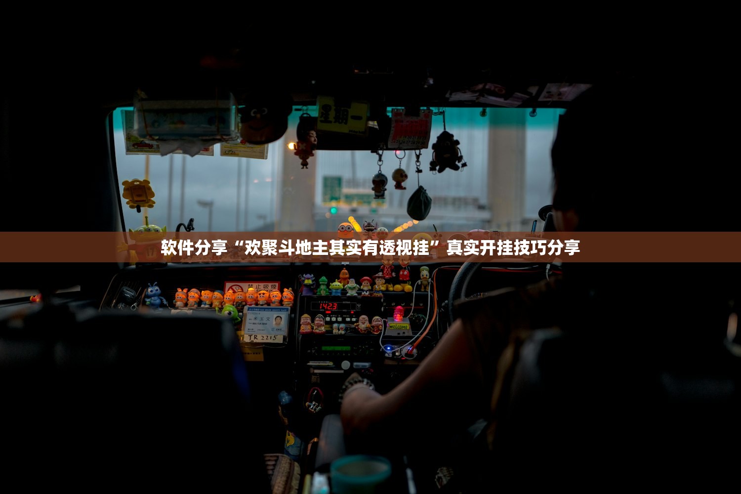 软件分享“欢聚斗地主其实有透视挂”真实开挂技巧分享