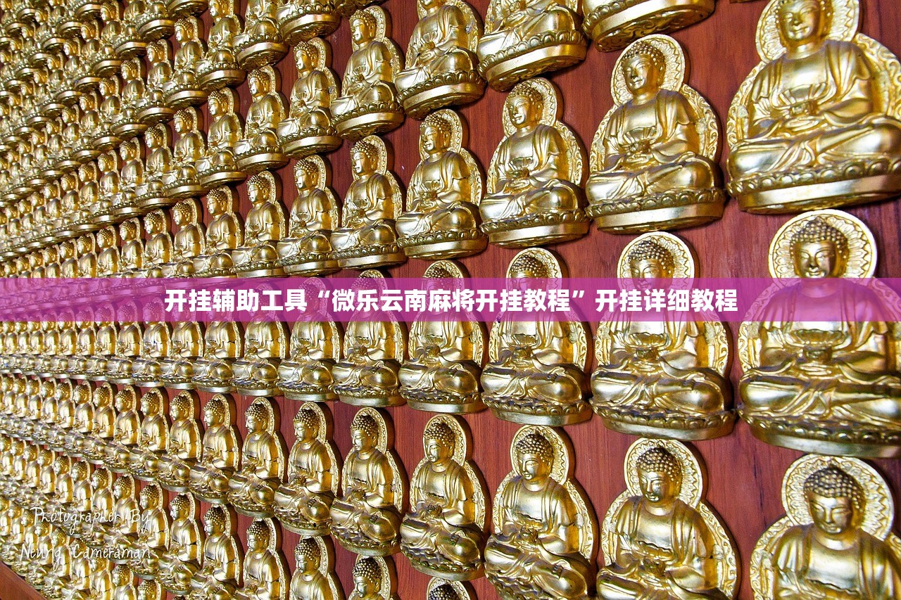开挂辅助工具“微乐云南麻将开挂教程”开挂详细教程