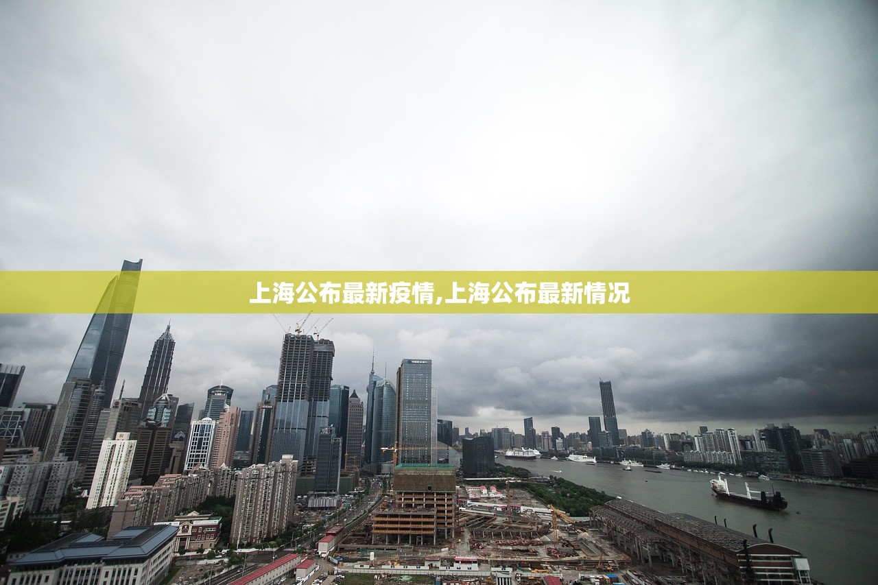 上海公布最新疫情,上海公布最新情况