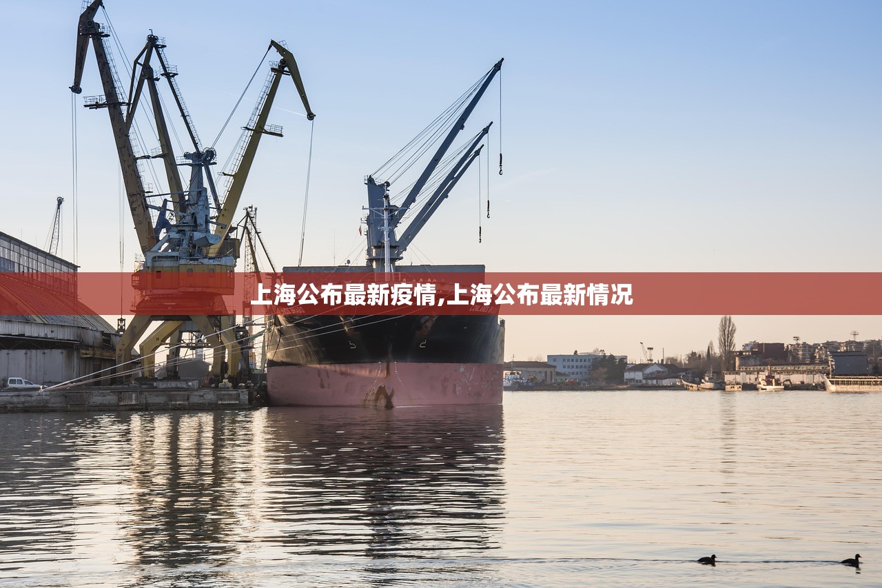 上海公布最新疫情,上海公布最新情况