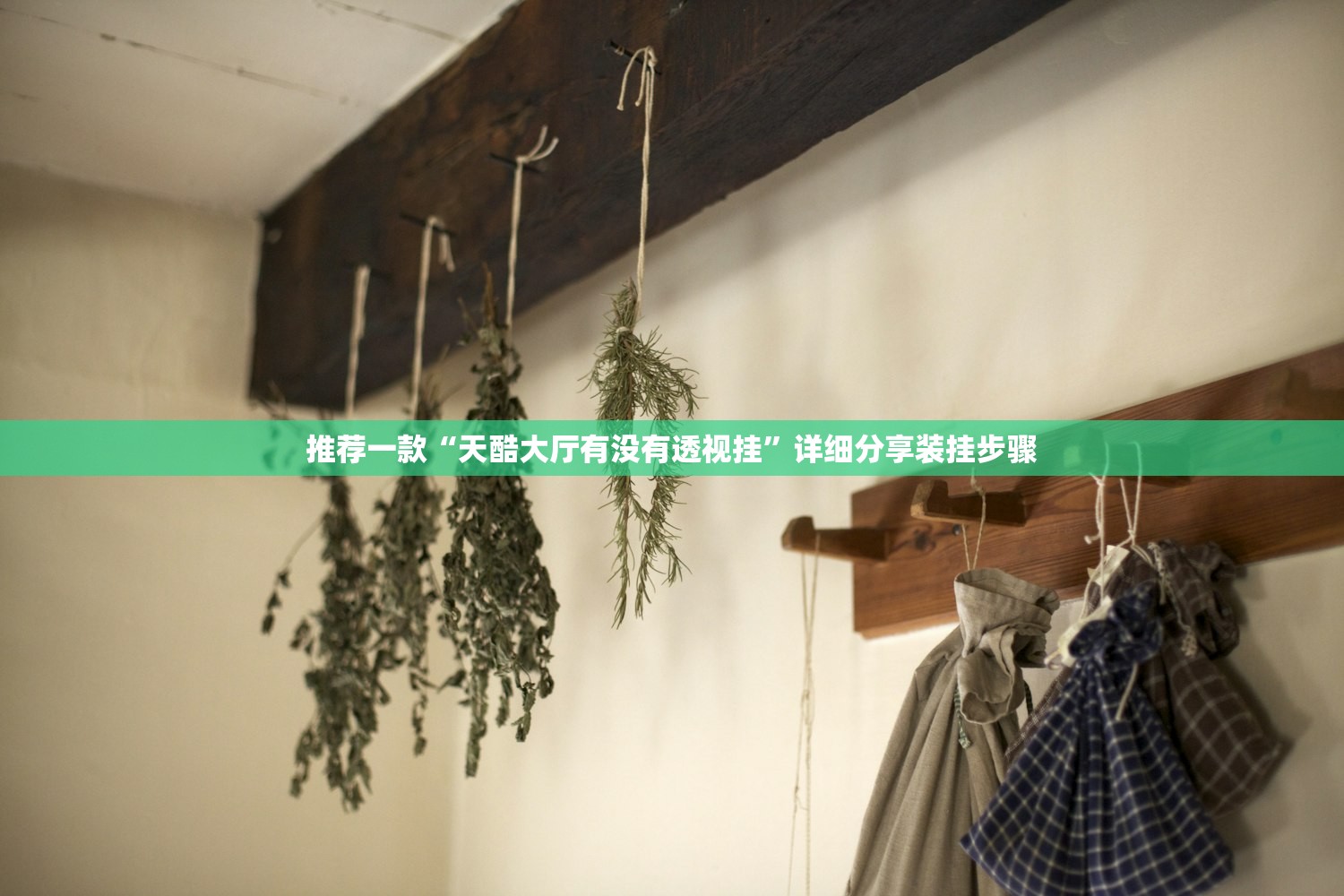 推荐一款“天酷大厅有没有透视挂	”详细分享装挂步骤