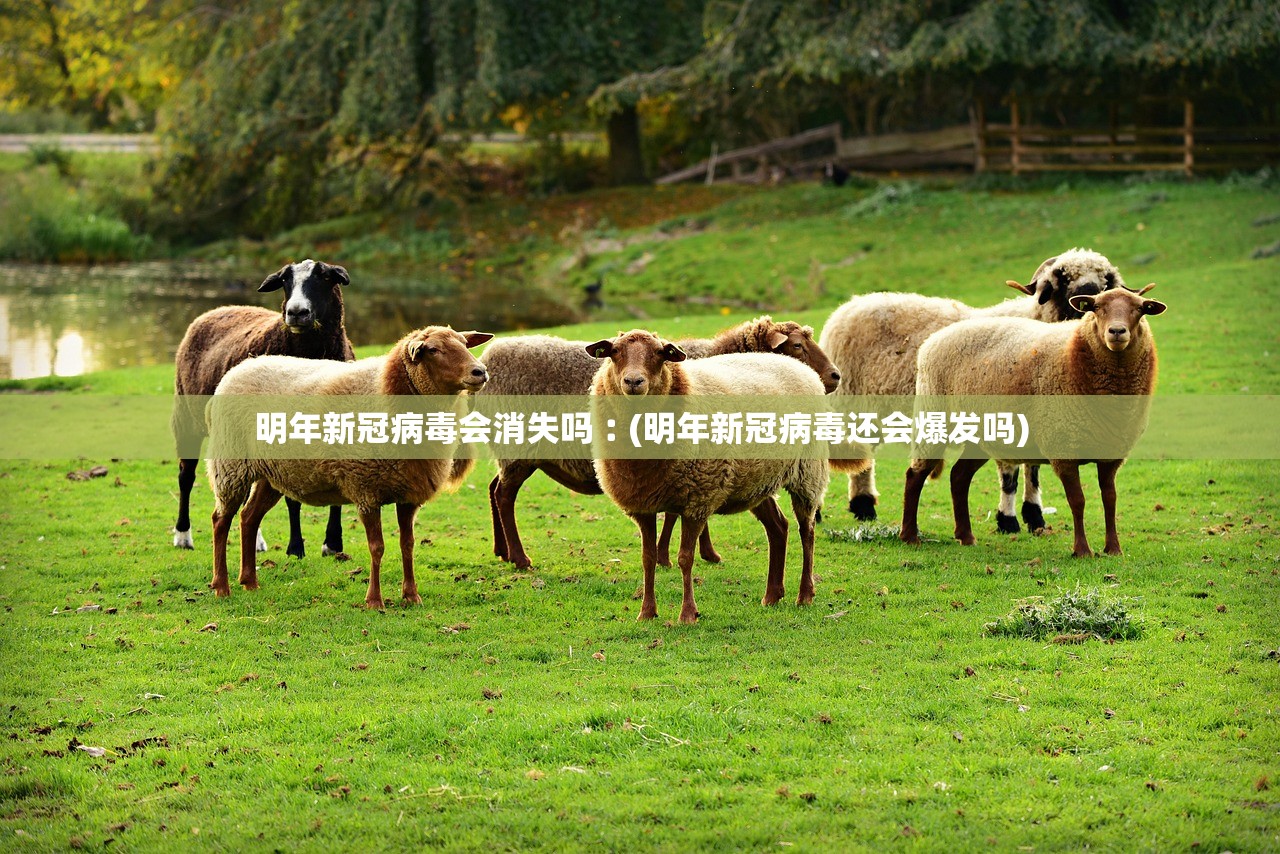 明年新冠病毒会消失吗︰(明年新冠病毒还会爆发吗)