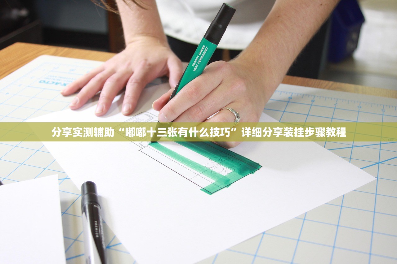 分享实测辅助“嘟嘟十三张有什么技巧”详细分享装挂步骤教程