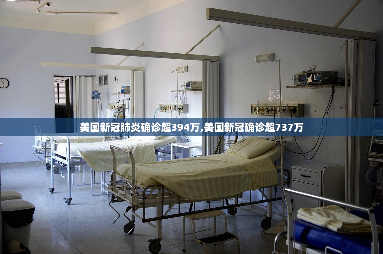 美国新冠肺炎确诊超394万,美国新冠确诊超737万