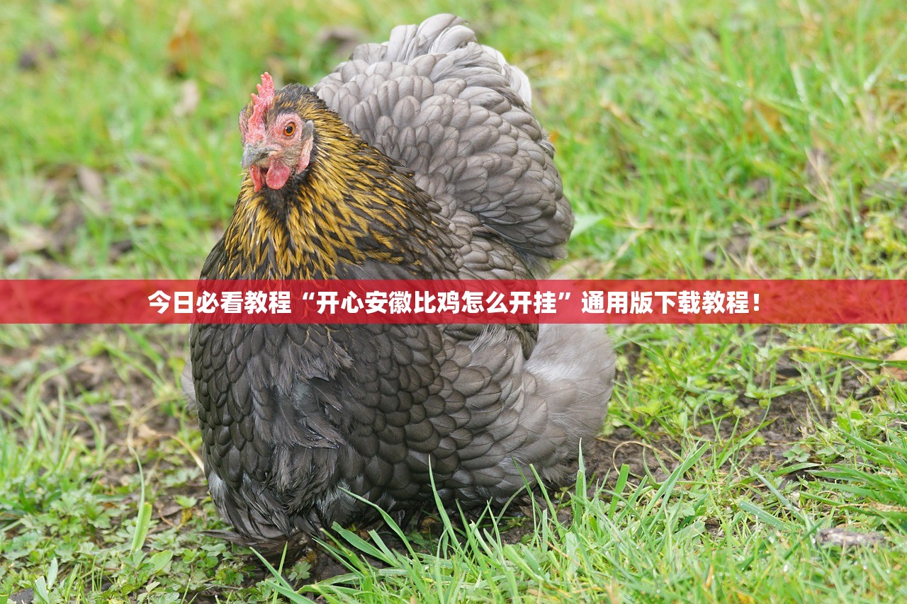 今日必看教程“开心安徽比鸡怎么开挂”通用版下载教程！