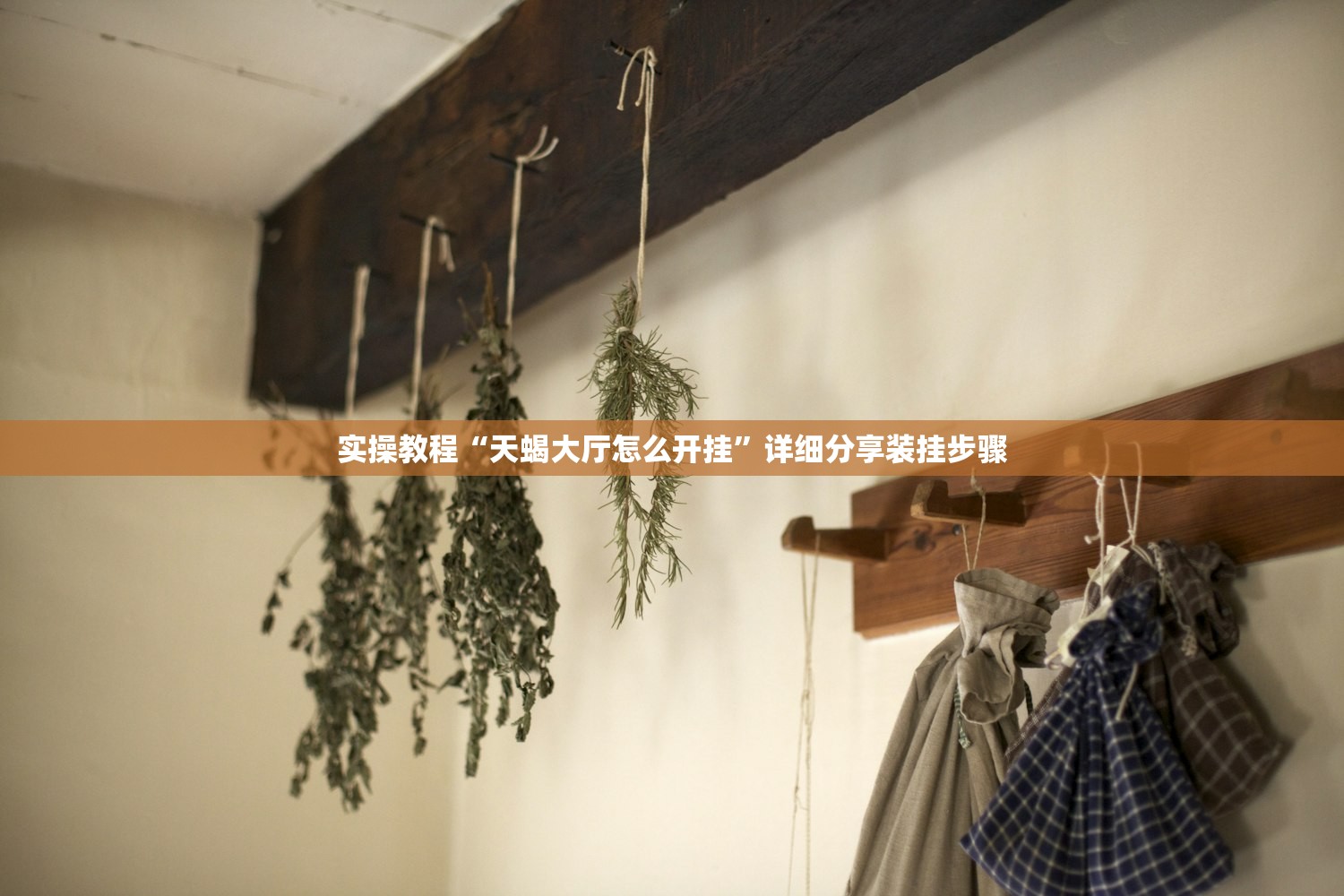 实操教程“天蝎大厅怎么开挂”详细分享装挂步骤
