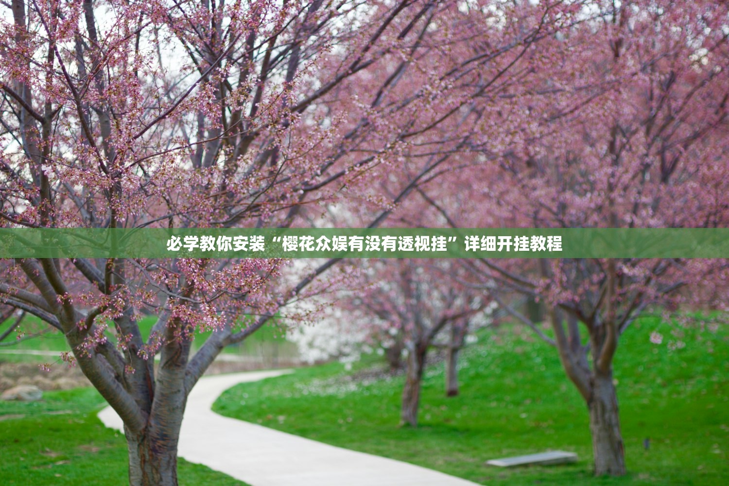 科普实测“青龙大厅为什么老是输呢”(原来确实是有插件)