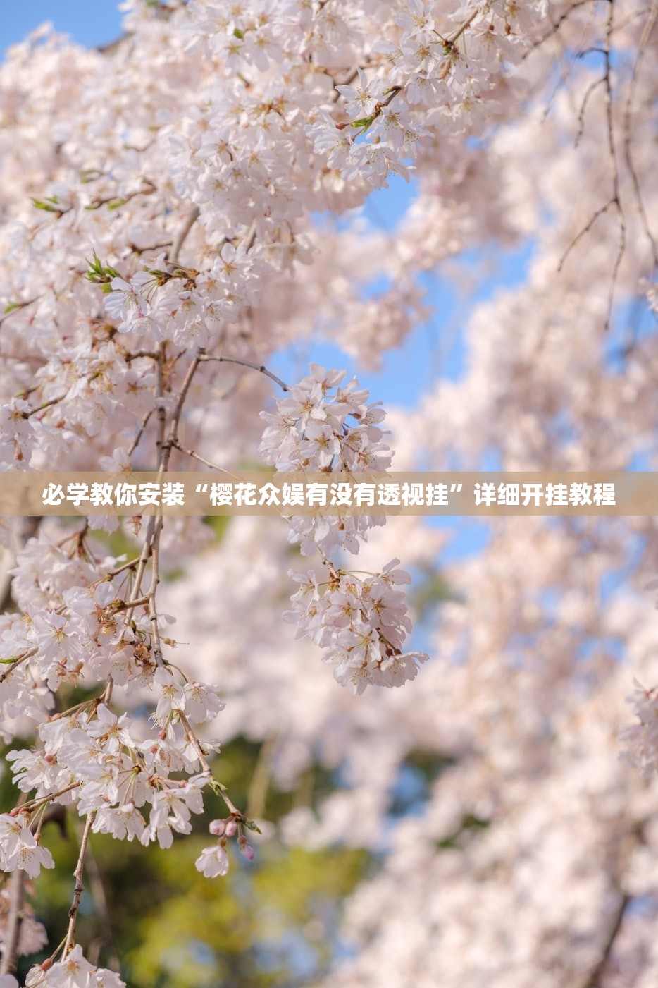 必学教你安装“樱花众娱有没有透视挂”详细开挂教程