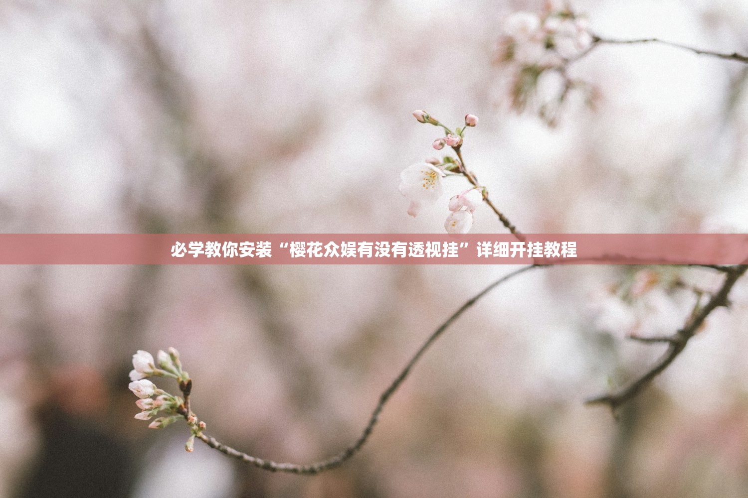 必学教你安装“樱花众娱有没有透视挂”详细开挂教程