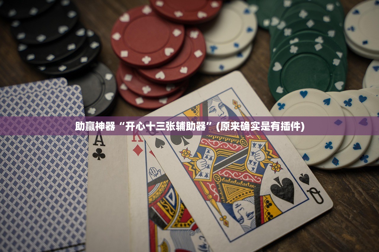 助赢神器“开心十三张辅助器	”(原来确实是有插件)