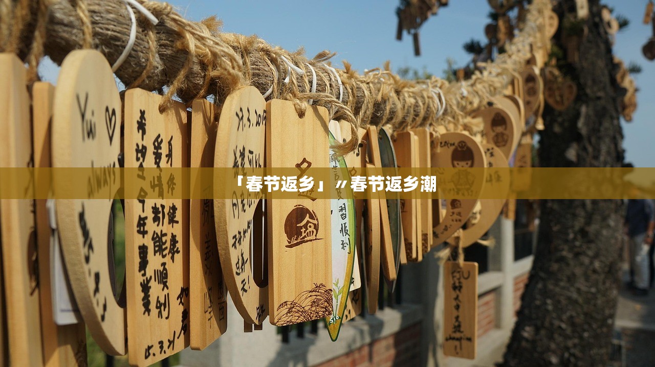 「春节返乡」〃春节返乡潮