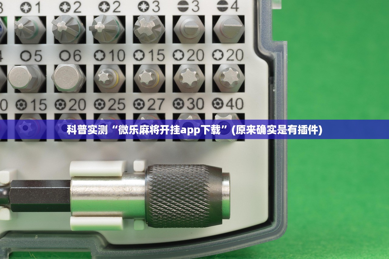 科普实测“微乐麻将开挂app下载”(原来确实是有插件)