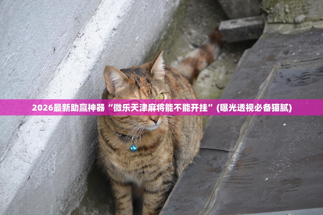 2026最新助赢神器“微乐天津麻将能不能开挂	”(曝光透视必备猫腻)