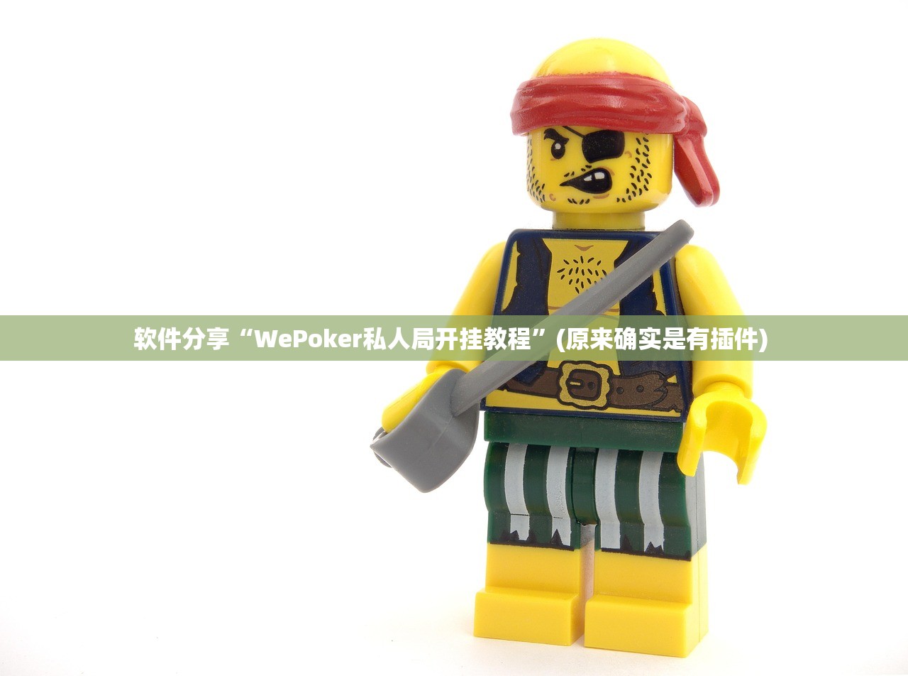 软件分享“WePoker私人局开挂教程”(原来确实是有插件) 