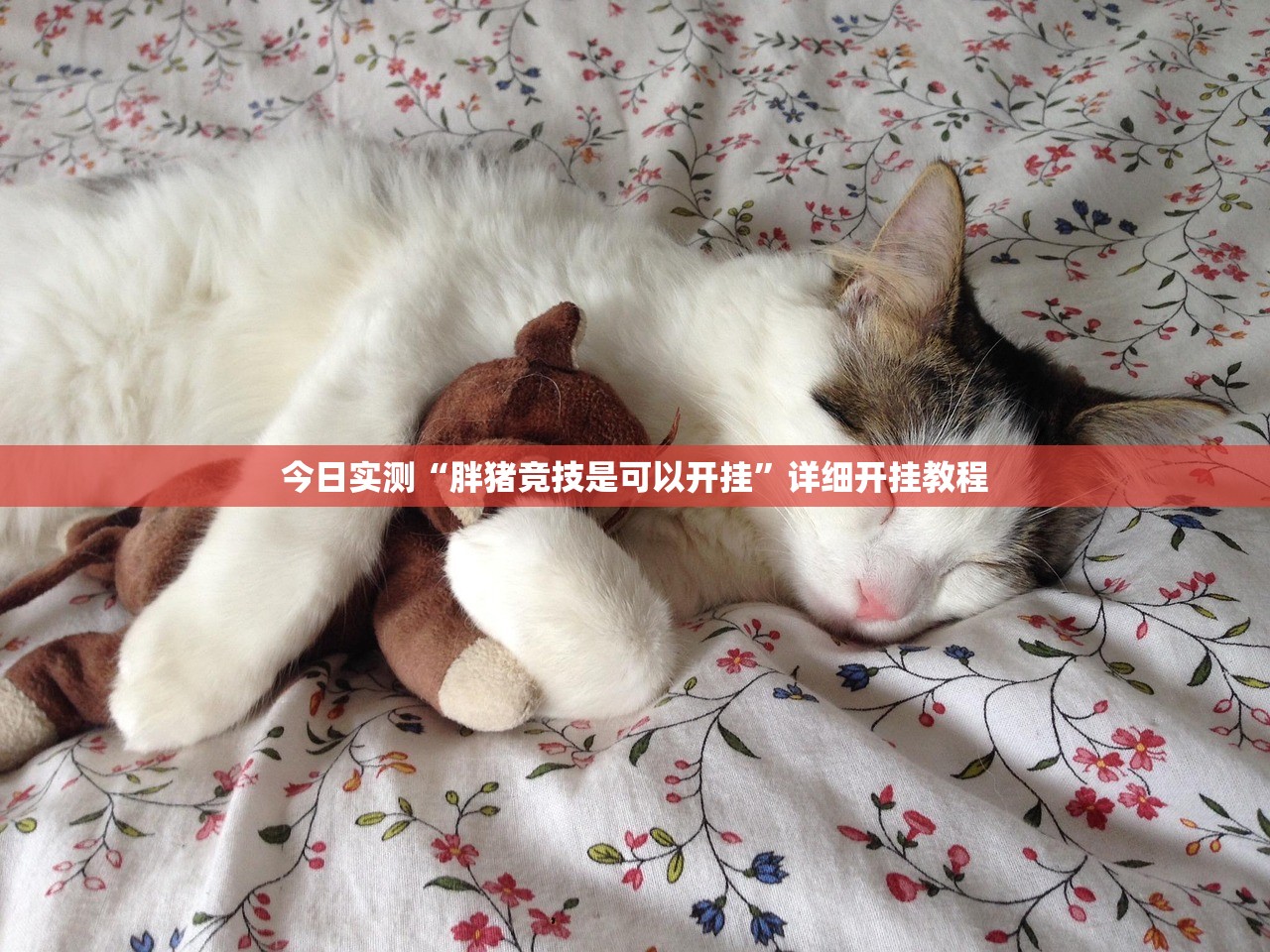 今日实测“胖猪竞技是可以开挂”详细开挂教程