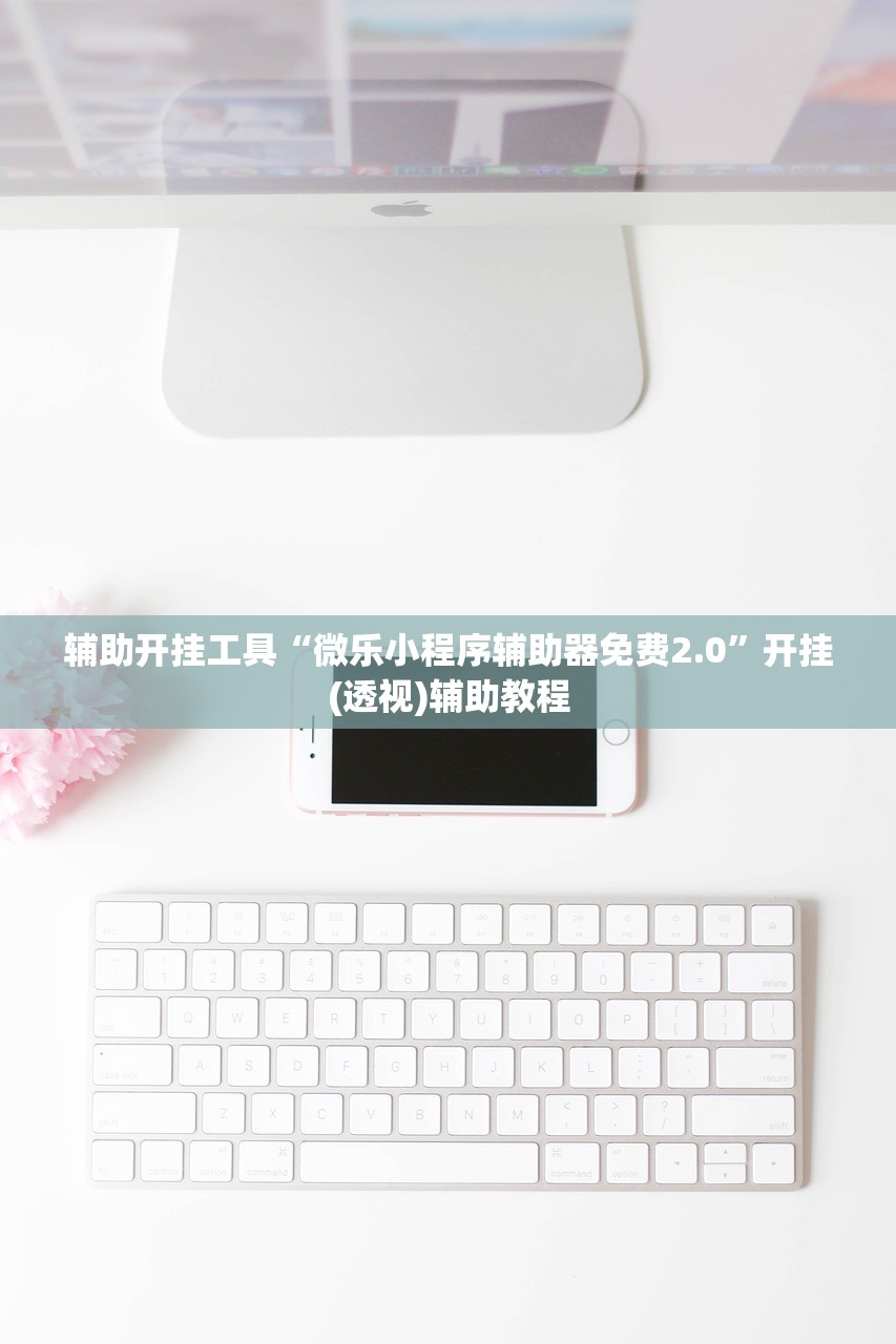 辅助开挂工具“微乐小程序辅助器免费2.0”开挂(透视)辅助教程