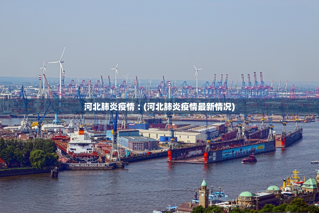 河北肺炎疫情︰(河北肺炎疫情最新情况)