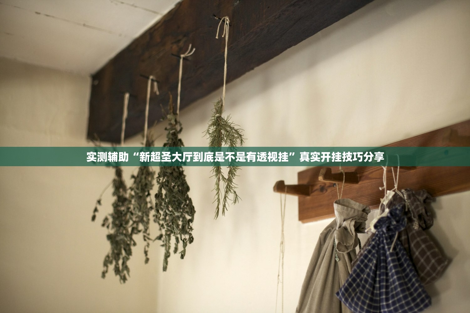 实测辅助“新超圣大厅到底是不是有透视挂”真实开挂技巧分享
