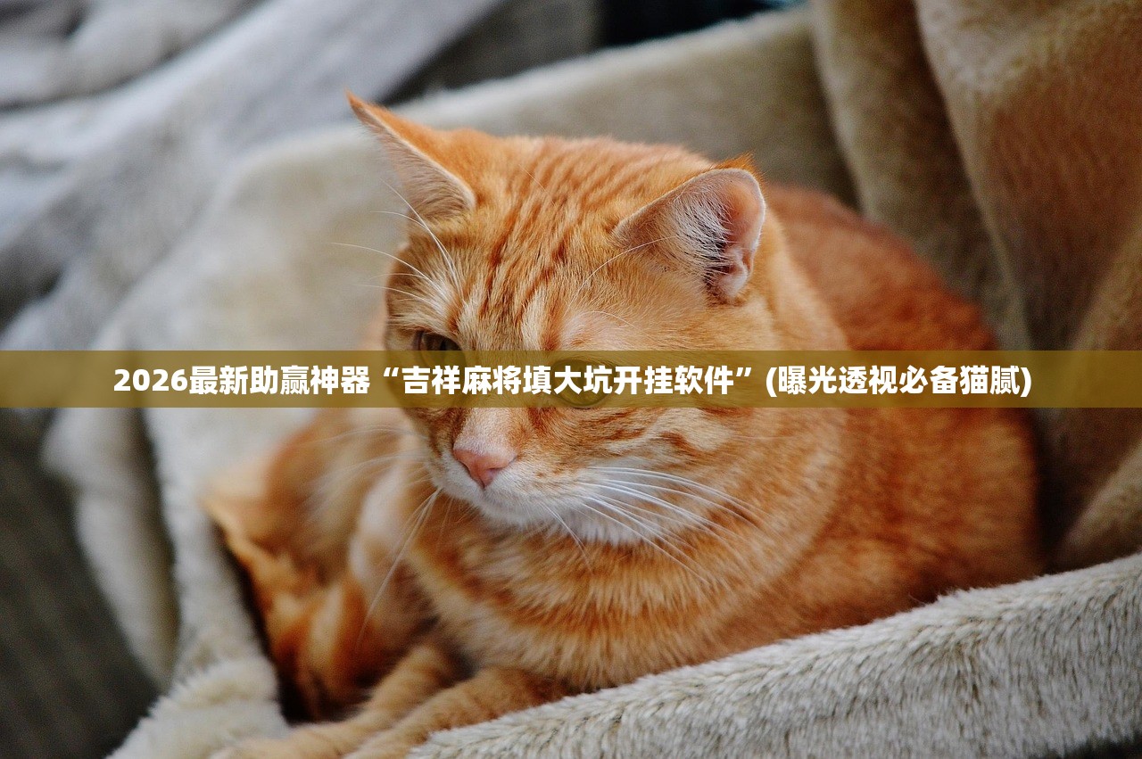 2026最新助赢神器“吉祥麻将填大坑开挂软件”(曝光透视必备猫腻)