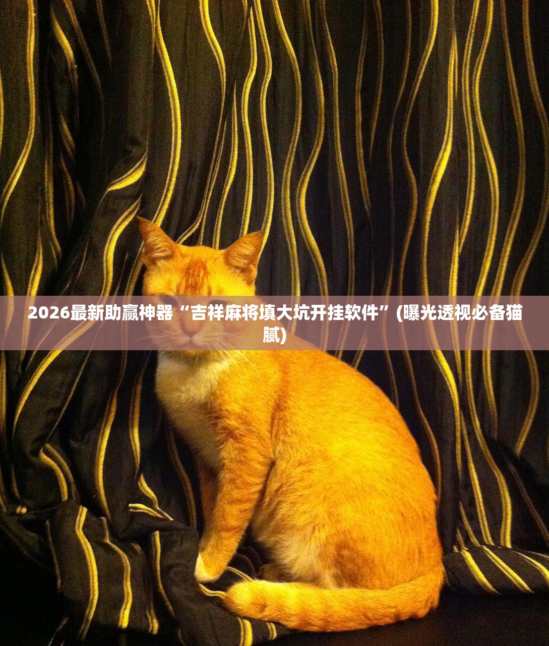2026最新助赢神器“吉祥麻将填大坑开挂软件	”(曝光透视必备猫腻)