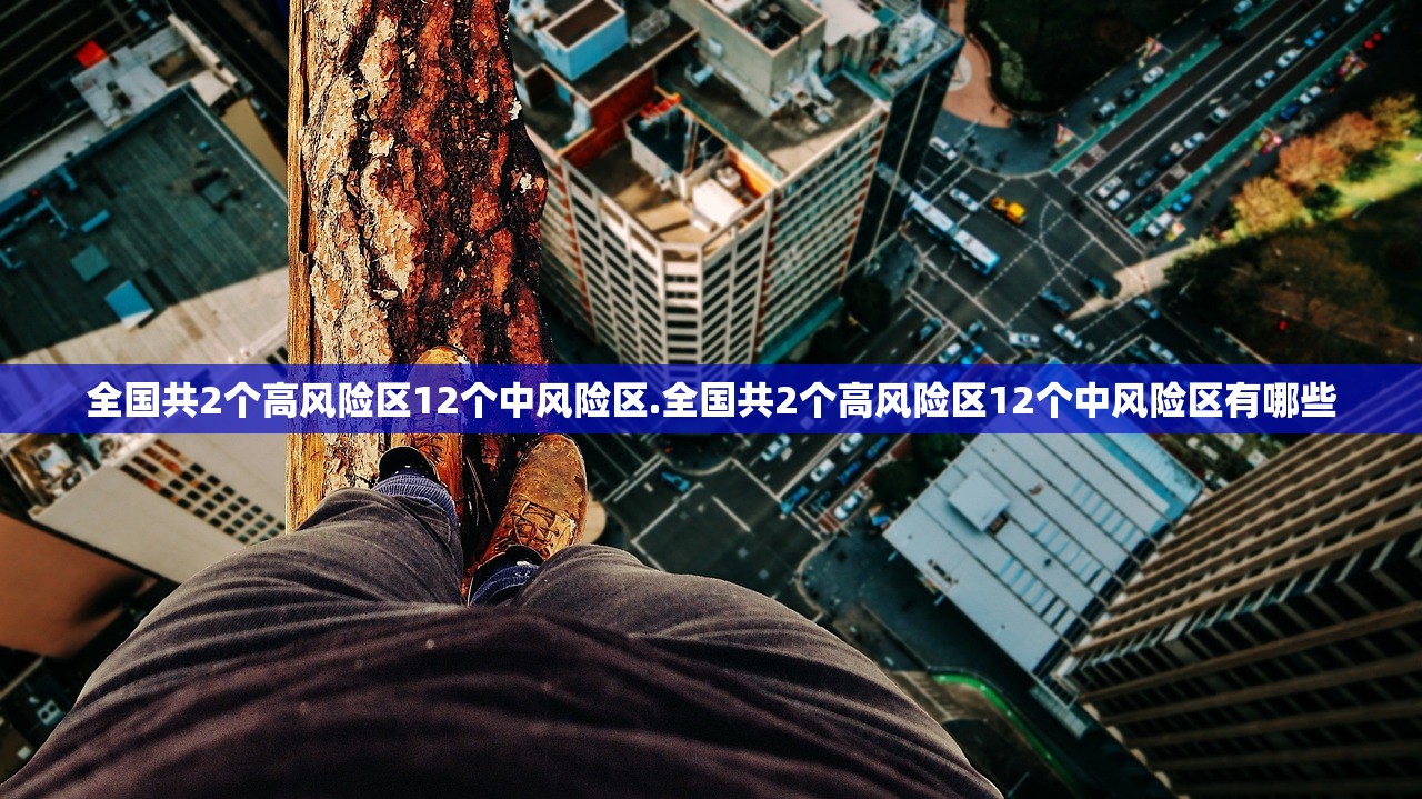 全国共2个高风险区12个中风险区.全国共2个高风险区12个中风险区有哪些